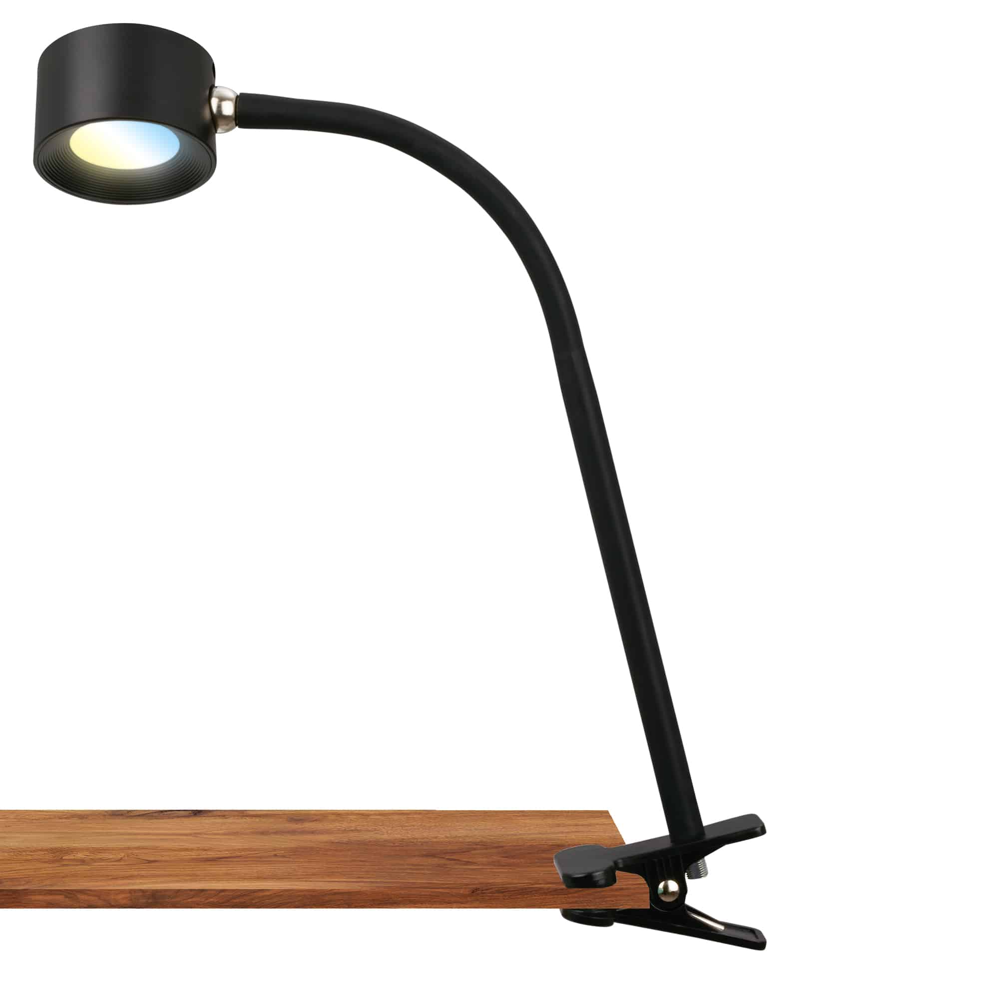 Briloner Tari LED desk lamp, dimmable, magnetic head, black