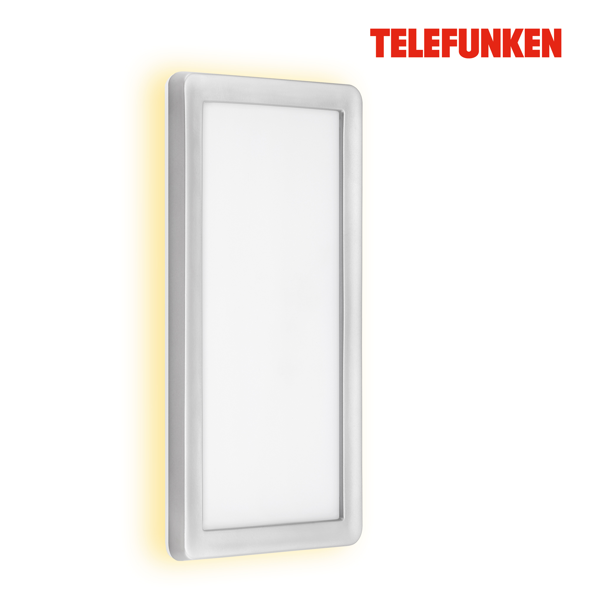 TELEFUNKEN LED Außenwandleuchte Silber