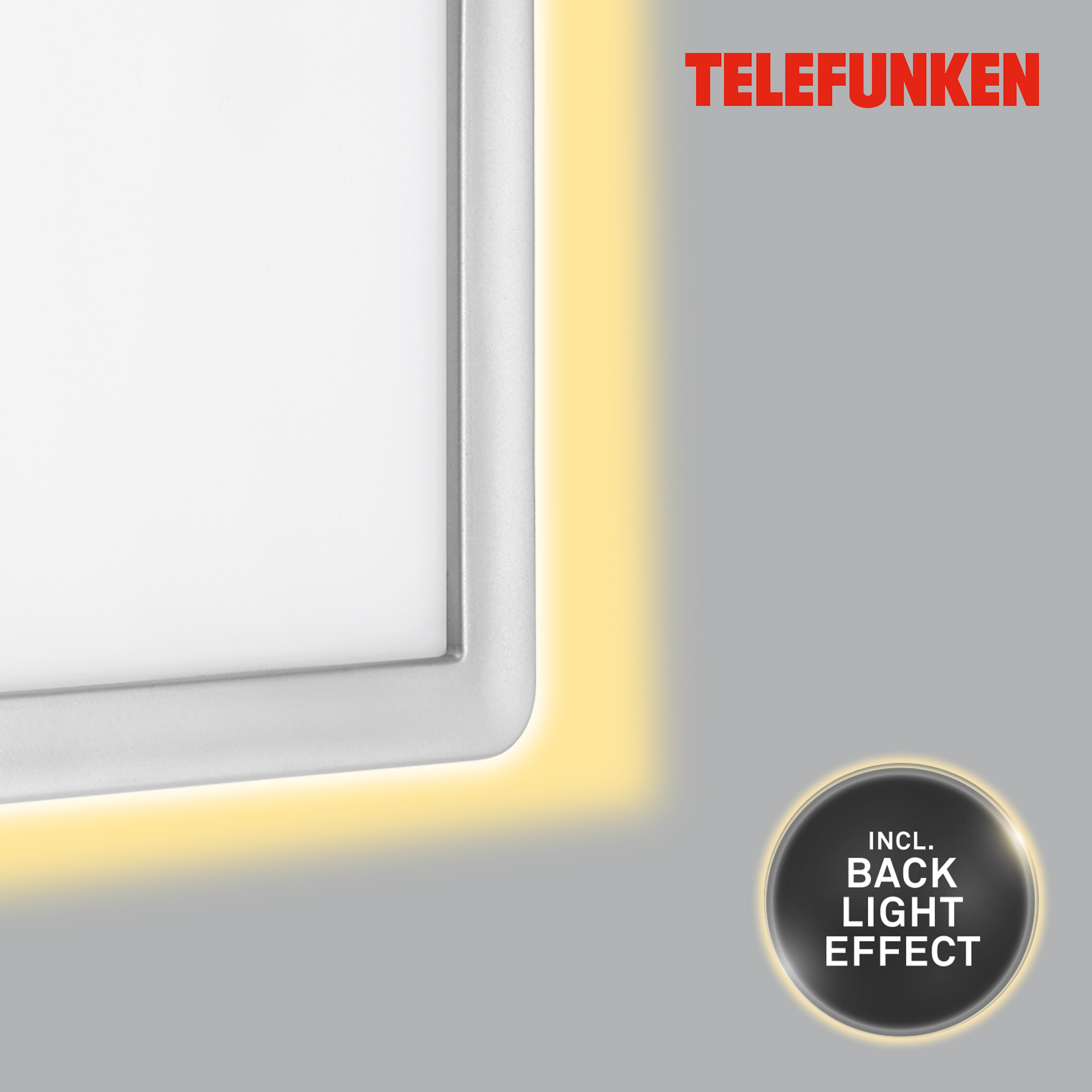 TELEFUNKEN LED Außenwandleuchte Silber